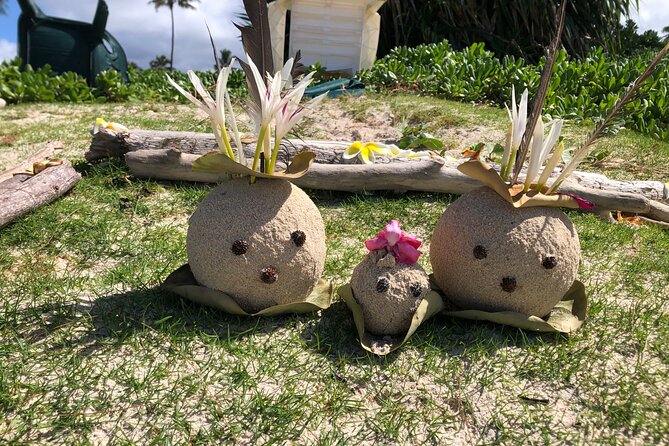 North Shore day,Waterfalls and Turtles Tour - An afternoon of beach time and turtle searching