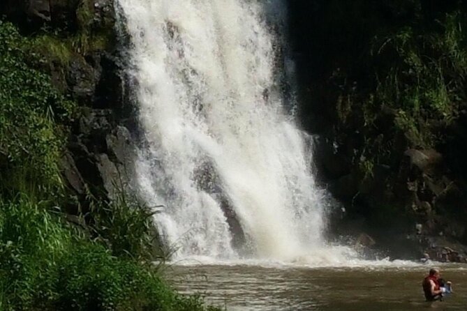North Shore day,Waterfalls and Turtles Tour - Pickup, timing, and the practical details