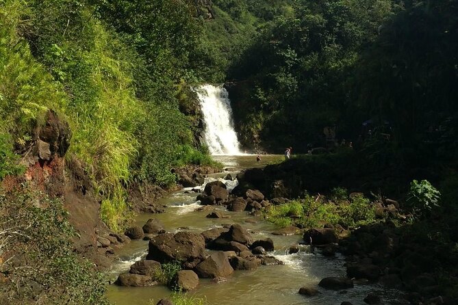 North Shore day,Waterfalls and Turtles Tour - Who will enjoy this Oahu tour most