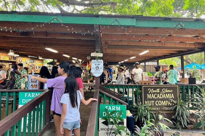 North Shore Dole Pineapple Farm Tour - Why the pineapple farm is the main event