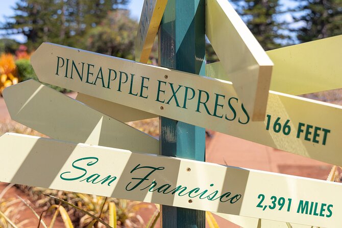 North Shore Haleiwa & Dole Plantation Tour - What the $100 price really covers