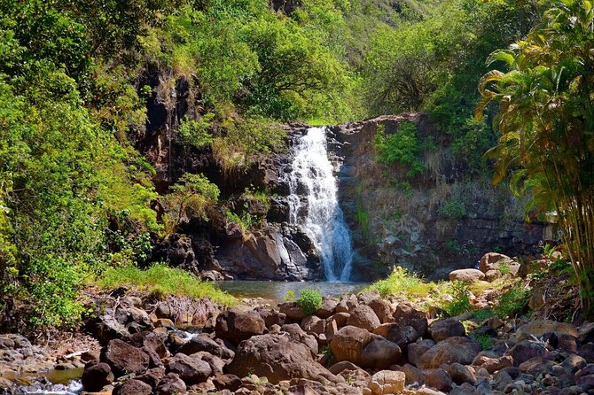 North Shore / Waimea, Falls Day & Swim with Turtles - Key points to know before booking