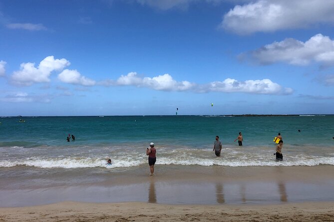 North Shore / Waimea, Falls Day & Swim with Turtles - A full North Shore day without the giant bus