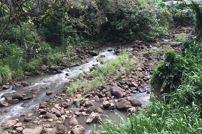 North Shore / Waimea, Falls Day & Swim with Turtles - What the private format really buys you