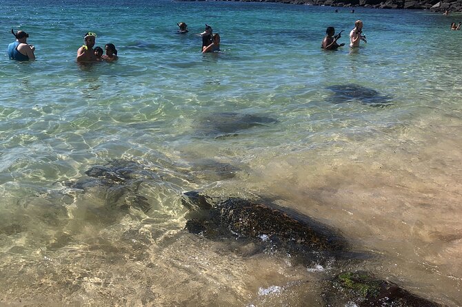 North Shore / Waimea, Falls Day & Swim with Turtles - Is $150 a good value?