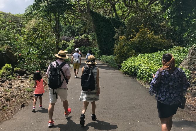North Shore / Waimea, Falls Day & Swim with Turtles - Coffee, chocolate, and the road through Haleiwa