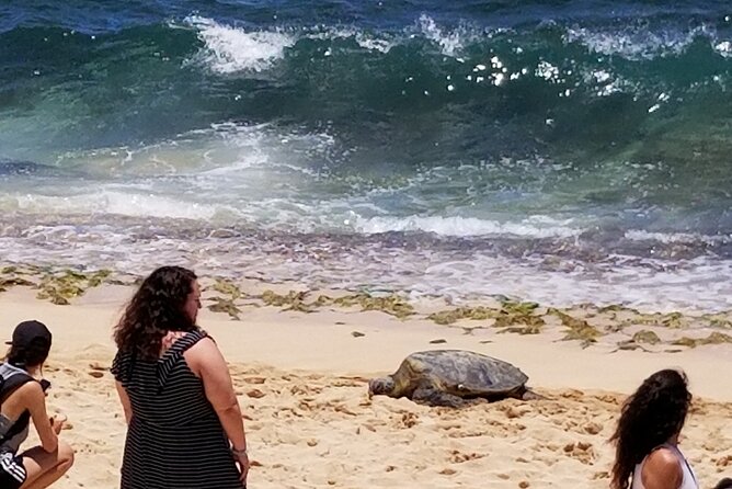 Northshore,Kailua,or Honolulu's Private Grand Circle Island Tour - A private way to get your Oahu bearings
