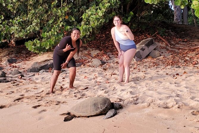 Northshore ocean adventure and circle islandJeep Tour- Guaranteed to see turtles - Three lookouts bring the island’s geography into focus