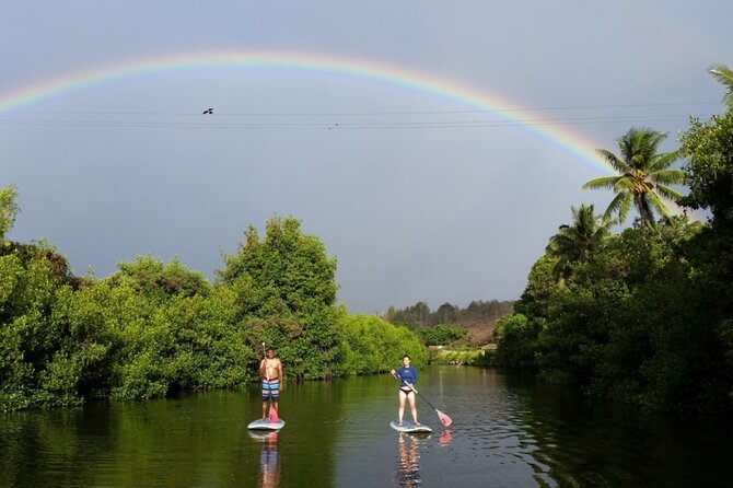 Northshore ocean adventure and circle islandJeep Tour- Guaranteed to see turtles - Paddleboarding and kayaking are the main active choices