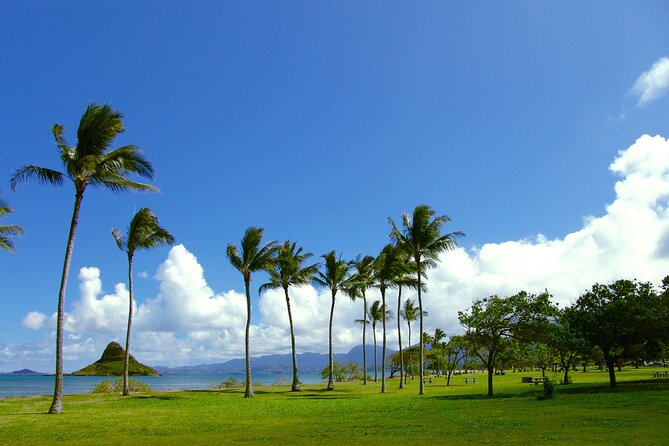 O‘ahu Highlights Private Guided Tour: Landmarks & Architecture - Why this four-hour tour works well as your Oʻahu introduction