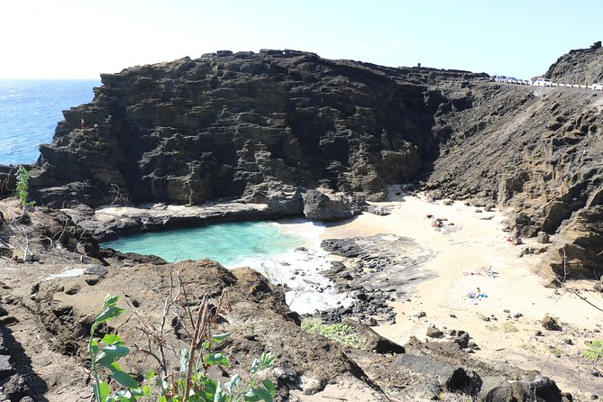 Oahu Circle Island Small Group Tour - Kahuku shrimp makes lunch feel local
