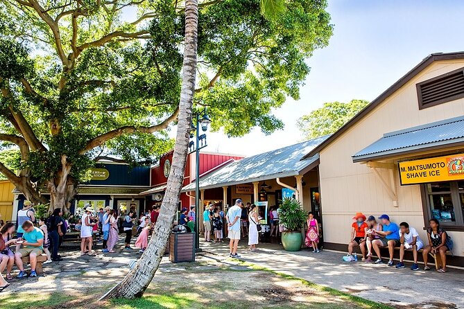 Oahu Circle Island Tour with Byodo-In Temple Admission - A full island in one long day