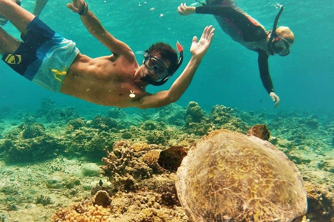 Oahu Circle Island Tour with Turtle Snorkeling— Small-Groups - Halona Blowhole and the South Shore