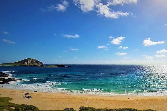 Oahu Circle Island Tour with Turtle Snorkeling— Small-Groups - Dole Plantation and the Ride Back