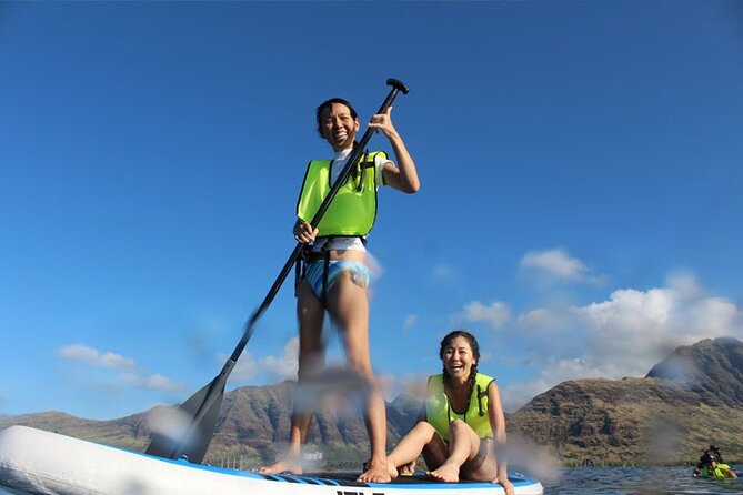 Oahu Dolphin and Snorkel Tour with Waikiki Pickup & Lunch - Snorkeling near Hawaiian green sea turtles