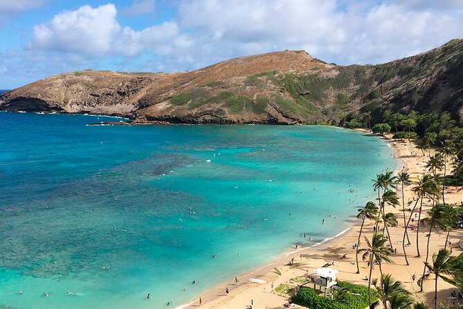 Oahu Grand Circle Island and Haleiwa Tour: 9-Hr Deluxe Experience - Dole Plantation: pineapple history with a clear caveat