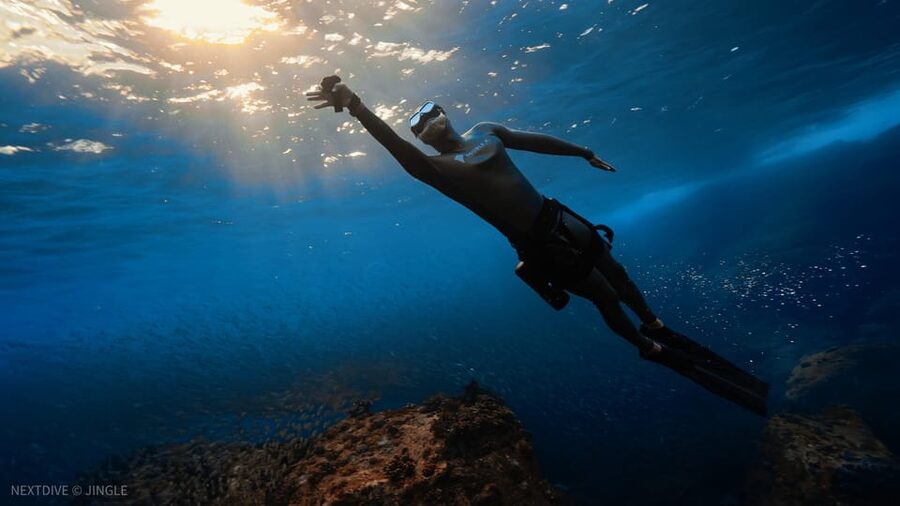 Oahu : Hanauma Bay Admission Ticket+Equipment Rental - Getting to Hanauma Bay on your own