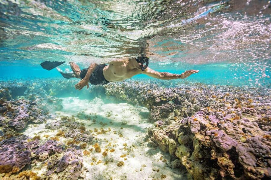 Oahu : Hanauma Bay Admission Ticket+Equipment Rental - What the $85 package actually covers