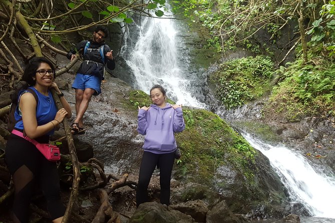 Oahu Hidden Waterfall Hike: A Tropical Paradise Adventure - A short route into Oahu’s rain forest