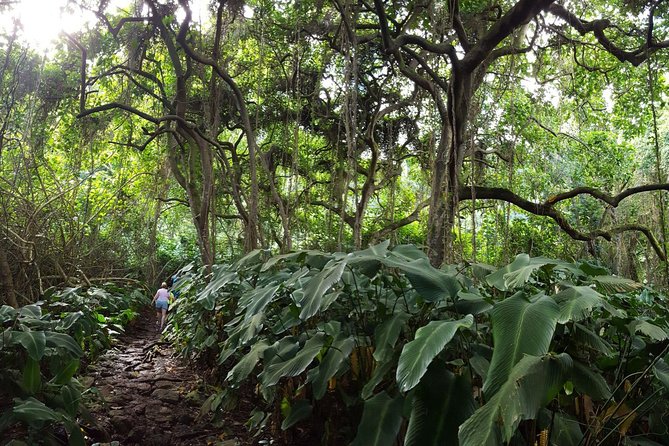Oahu Hidden Waterfall Hike: A Tropical Paradise Adventure - A small group with a personal pace