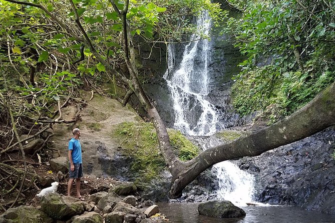 Oahu Hidden Waterfall Hike: A Tropical Paradise Adventure - The guide makes the walk better