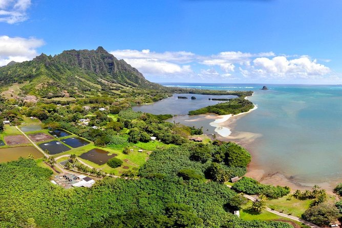 Oahu Island Full-Day Sightseeing Tour - Dole Plantation and the short final stop