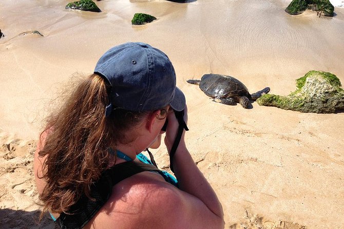 Oahu Island Photography Tour - The first stops: volcanoes, coast, and sacred places