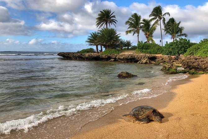 Oahu Island Photography Tour - Guides who shape the experience