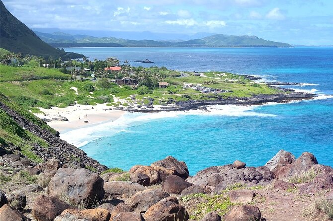 Oahu Island Sightseeing and Food Combo Tour - Garlic shrimp in Kahuku