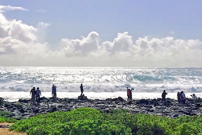 Oahu Island Sightseeing and Food Combo Tour - Pupukea and the North Shore scenery