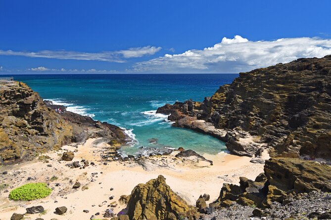 Oahu Island Tour: 13 ppl Max, Snorkel at Turtle Beach + Lunch - Kahuku shrimp and the North Shore’s food stop