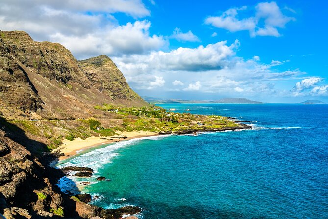 Oahu Island Tour: 13 ppl Max, Snorkel at Turtle Beach + Lunch - Dole Plantation and the final taste of Oahu