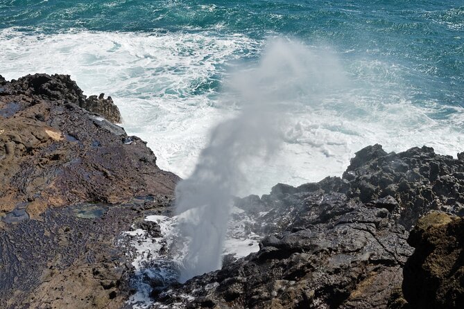 Oahu Island Tour: 13 ppl Max, Snorkel at Turtle Beach + Lunch - The early pickup matters more than the 7 a.m. start