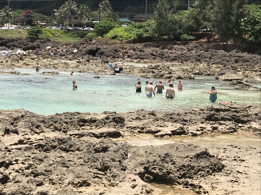Oahu: Manoa Falls Hike and east side beach day - Practical advice before you go
