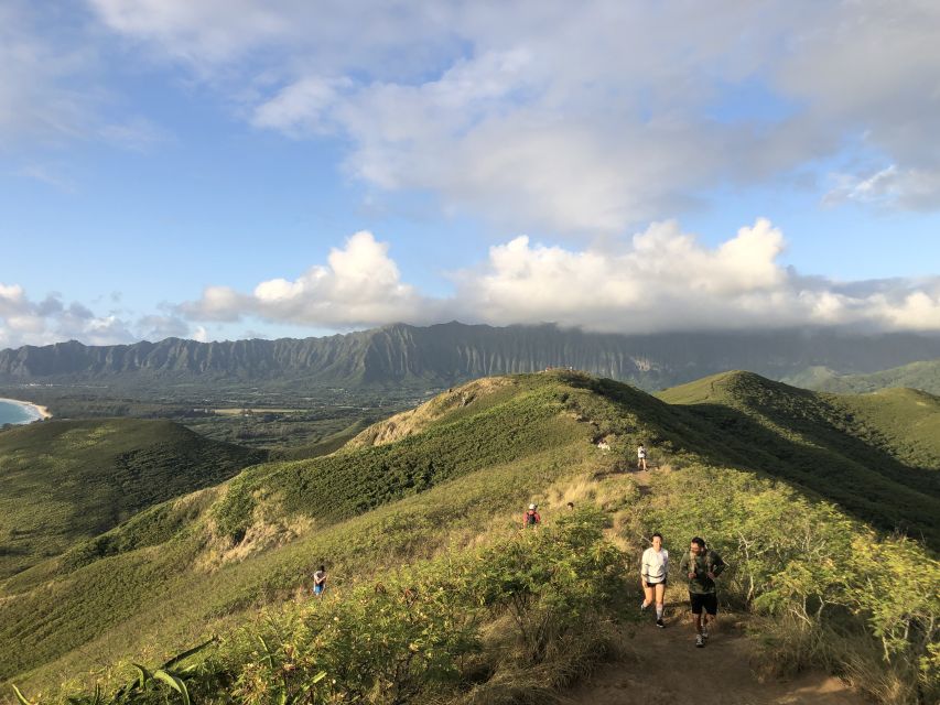 Oahu: Manoa Falls Hike and east side beach day - Manoa Falls gives the day a strong start