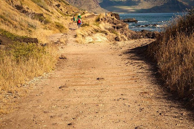 Oahu Personalized Private Tour - Should You Book This Private Oahu Tour?