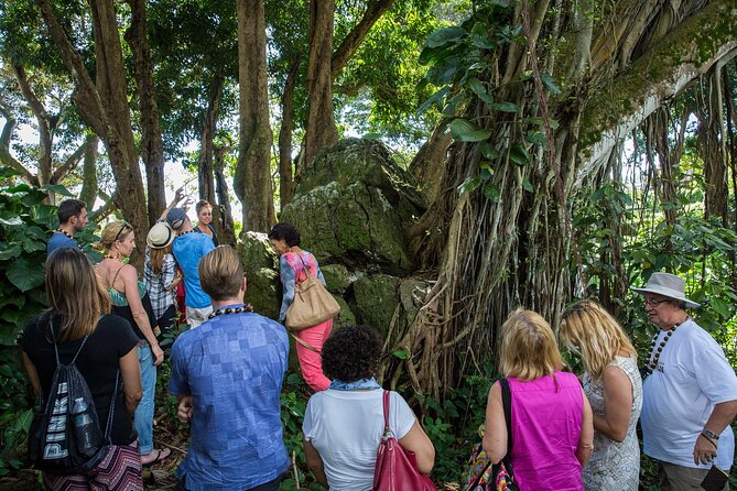 Oahu Personalized Private Tour - Dole Plantation closes the loop