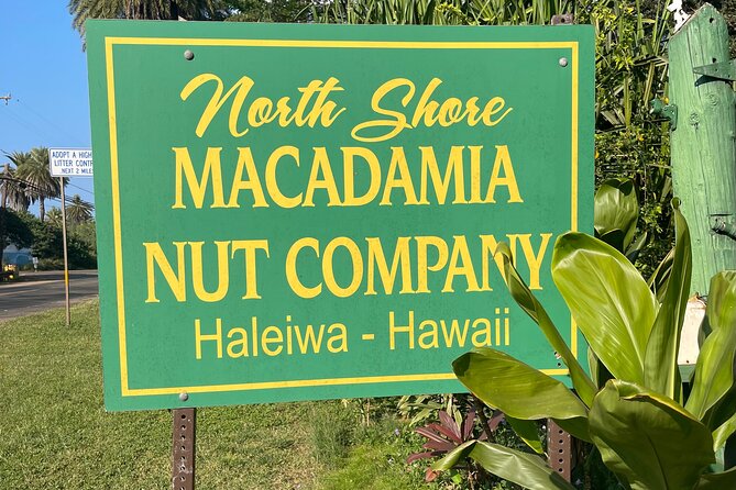 Oahu Private Tour North Shore, Waimea Falls and Dole Plantation - Laniakea Beach: a respectful turtle stop