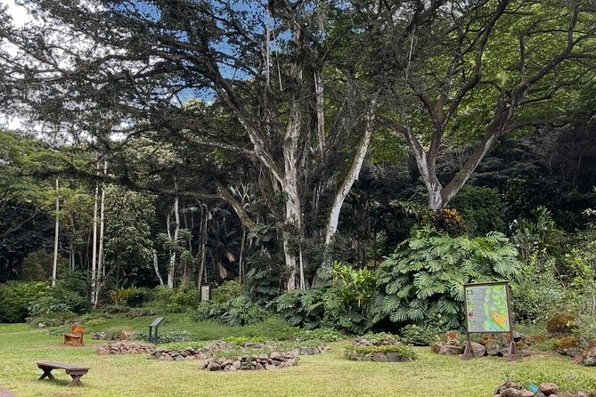 Oahu Private Tour North Shore, Waimea Falls and Dole Plantation - Waimea Falls: the day’s main walk