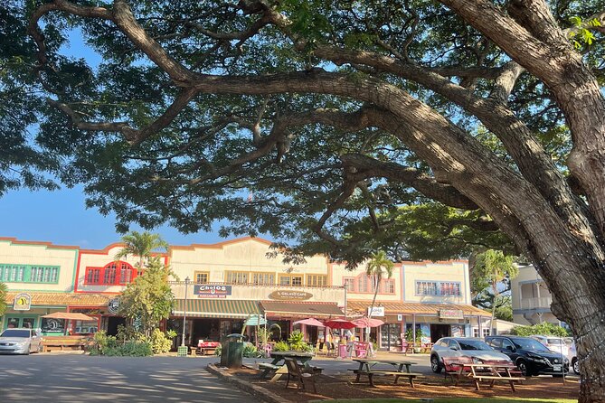 Oahu Private Tour North Shore, Waimea Falls and Dole Plantation - Haleiwa: the most relaxed stop of the day
