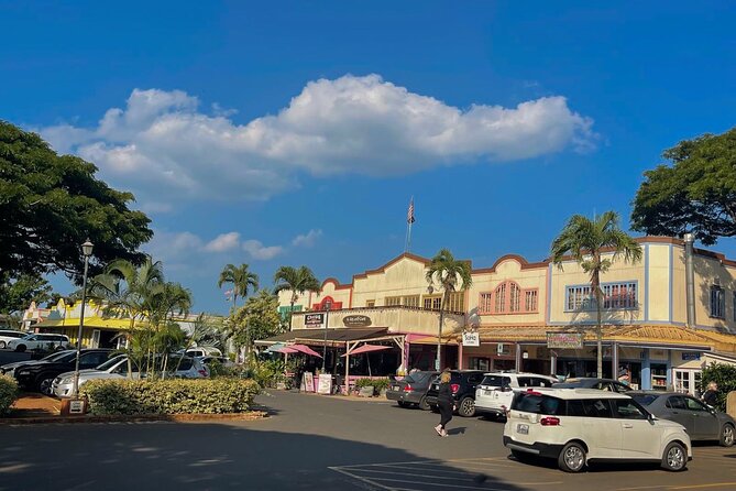 Oahu Private Tour North Shore, Waimea Falls and Dole Plantation - Dole Plantation: pineapple, train rides, and Dole Whip