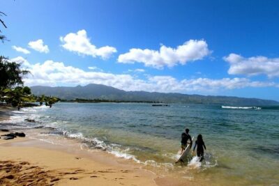 Roundtrip Shuttle From Waikiki to Dole Plantation & Haleiwa