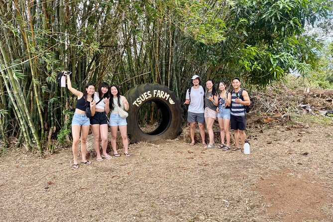 Oahu: Roundtrip Shuttle From Waikiki to Dole Plantation & Haleiwa - Value, comfort, and the main drawbacks