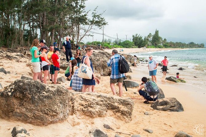 Oahu's Cheapest Circle Island Tour - Waimanalo, Kualoa, and the macadamia farm