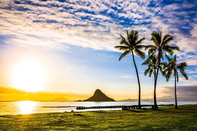 Oahu's Ultimate Grand Circle Island Tour with Snorkeling and More - Kahuku Farms and the North Shore food stops
