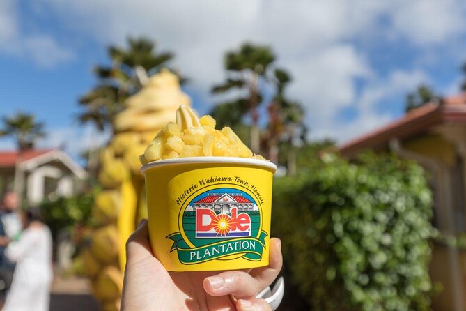Oahu's Ultimate Tour: Dole, Turtle Snorkel, Pali Lookout & More - Macadamia nuts, coffee, and the North Shore road