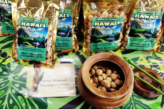 Oahu's Ultimate Tour: Dole, Turtle Snorkel, Pali Lookout & More - Timing, pickup, and what to pack
