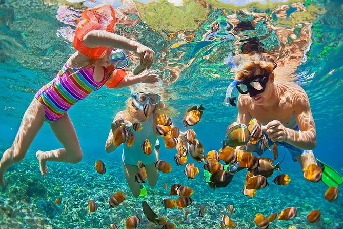 Oahu's Ultimate Tour: Dole, Turtle Snorkel, Pali Lookout & More - Hanauma Bay and the coastal road
