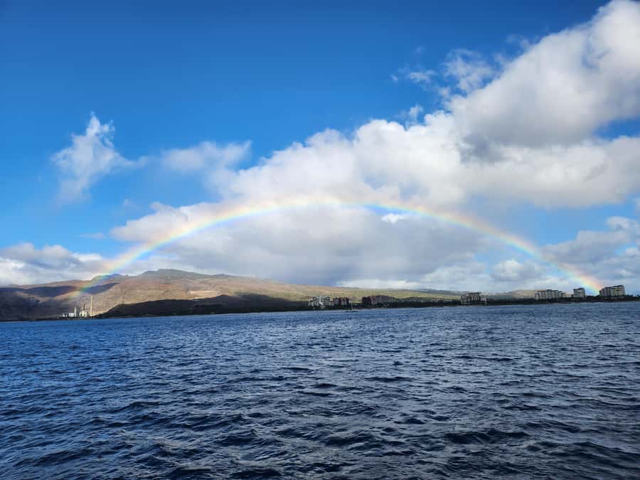 Oahu: Snorkeling & Dolphin Watch Cruise w/ Luau Style Buffet - A Morning on Oahu’s Waianae Coast