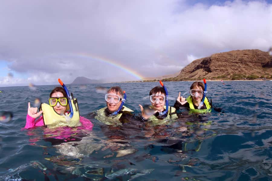 Oahu: Snorkeling & Dolphin Watch Cruise w/ Luau Style Buffet - Finding Dolphins, Whales, and Sea Turtles